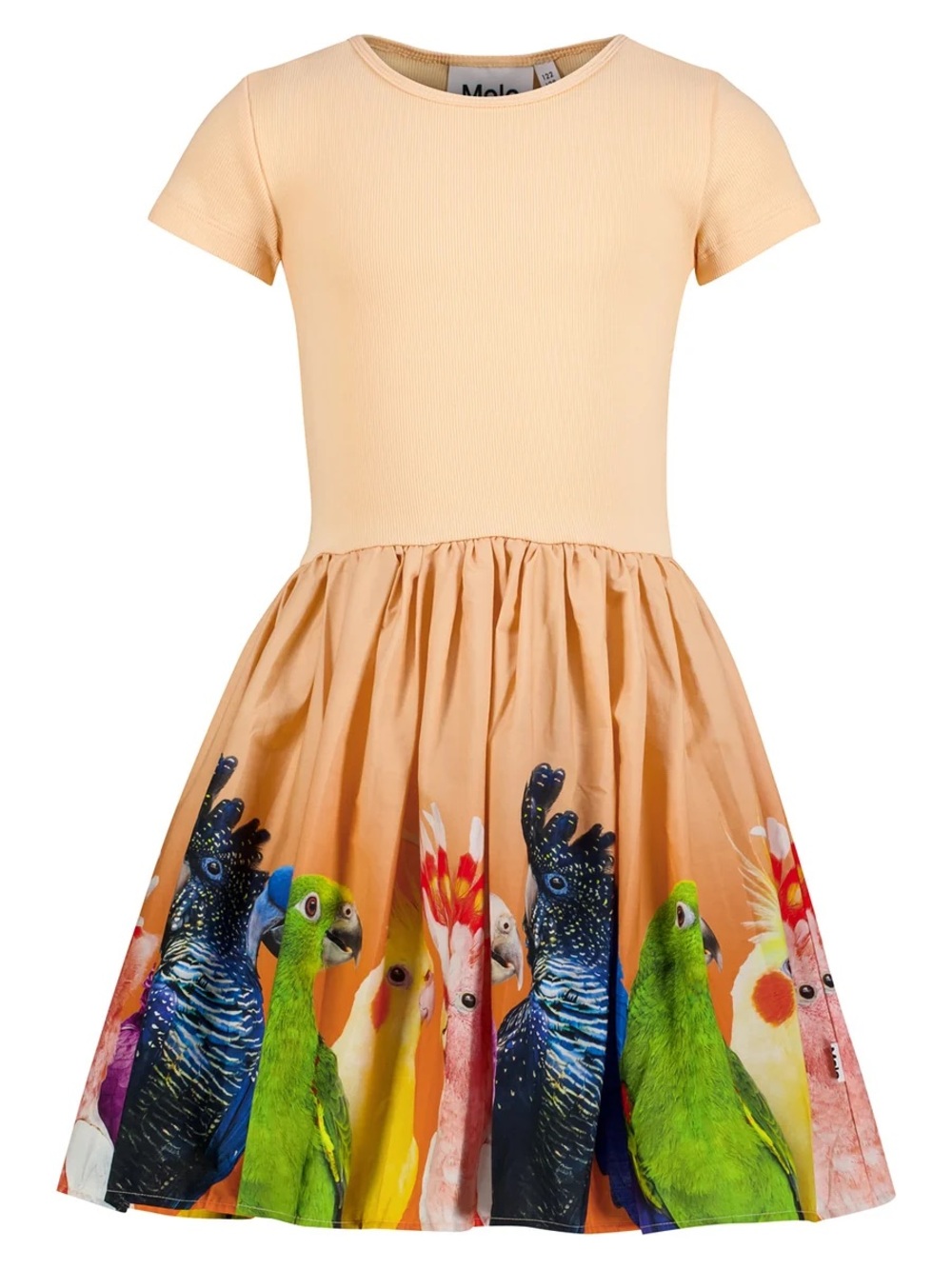 MOLO girls bird dress